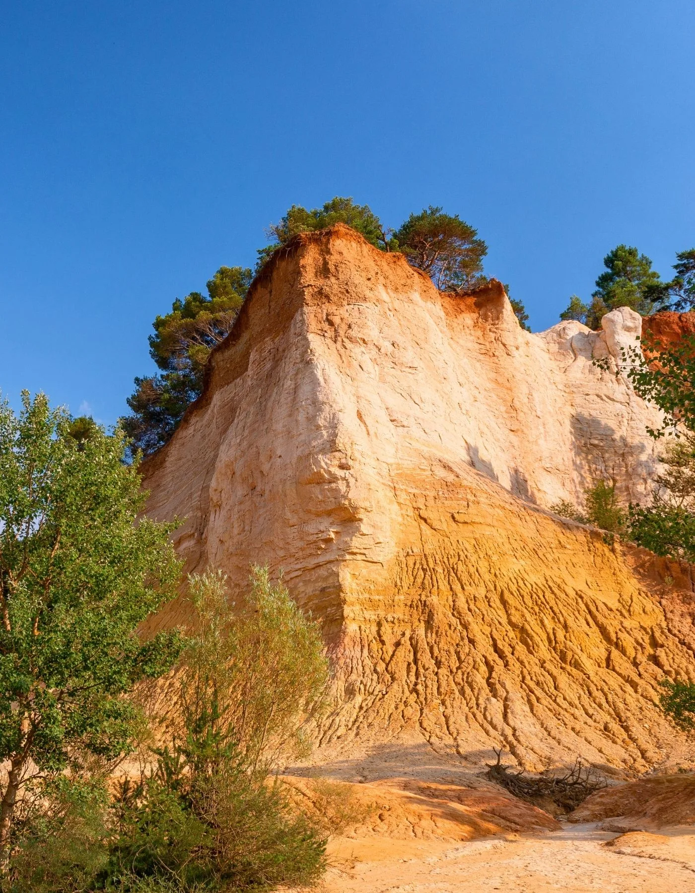 Colorado provençal près de la Magnanerie 1818